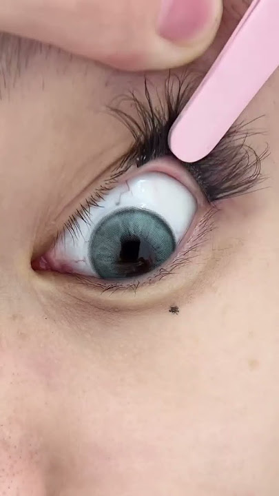 7-15 Days Lasting Pre Glued Lashes Extensions From Lazy Girl Lash Factory