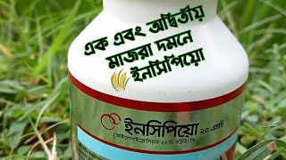 ইনসিপিয়ো।। সিনজেনটা।। মাজরা পোকা দমন ।। incipio 20sc , syngenta.