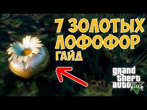 7 ЗОЛОТЫХ ЛОФОФОР В GTA 5
