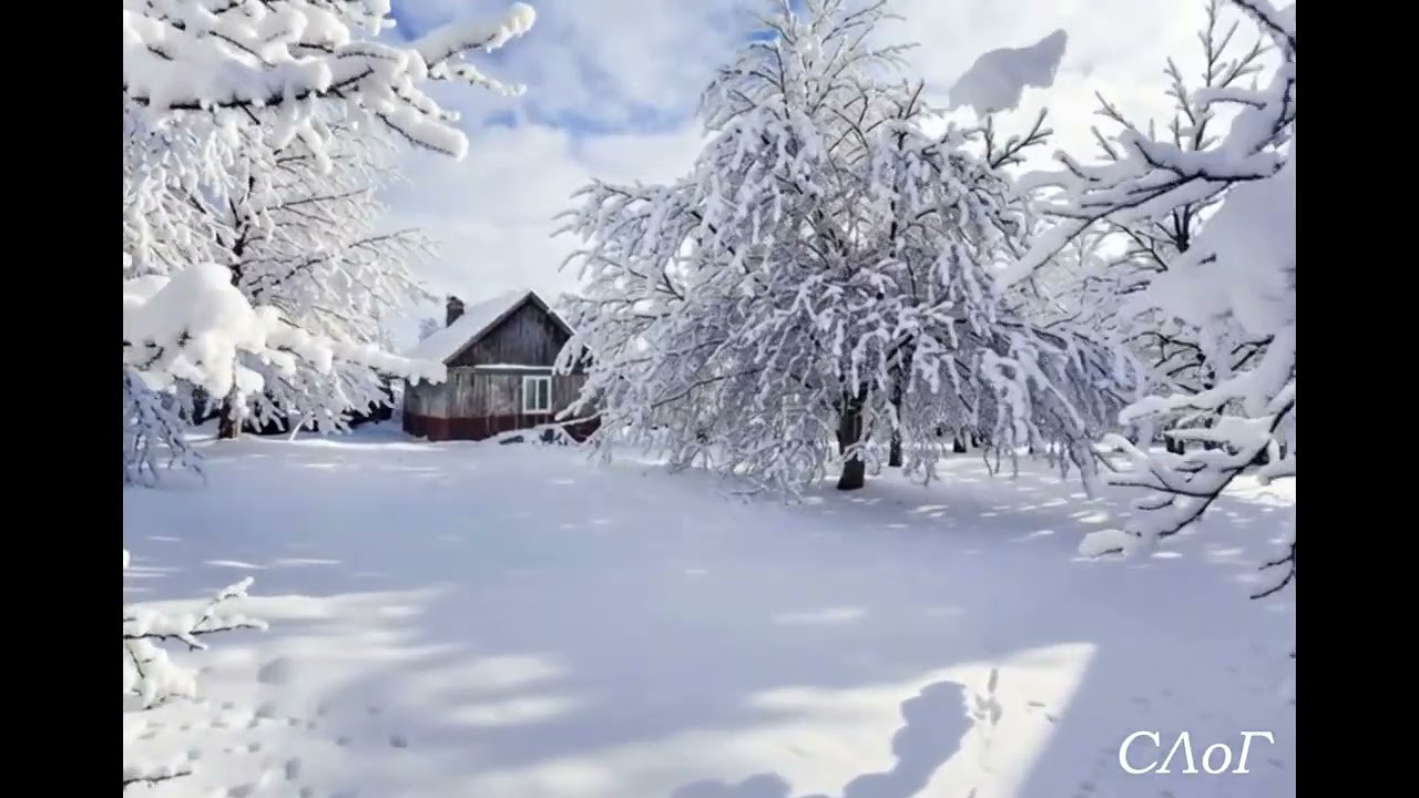 Светлана Ланор-Глухова  -  Февральские метели