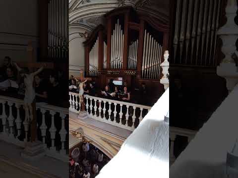 Catedral Basílica Aguascalientes (el sonido del monumental Organo Fratelli Rufatti)