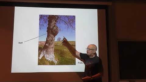 Coordination Sequences, Planing Numbers, and Other Recent Sequences (Part II)