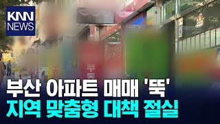 &#39;불장 서울&#39;과 &#39;분양 미루는 PK&#39; 지역 맞춤형 부동산 정책 필요 / KNN