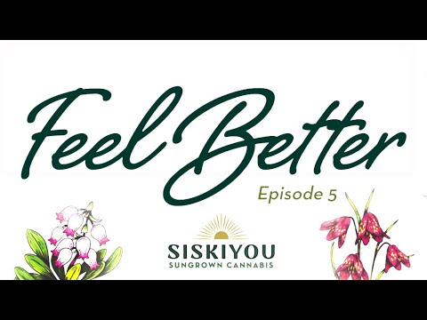 The Feel Better Show | Episode 5 | How to Dose RSO with Gel Caps