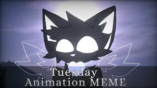 Tuesday | Original Animation MEME