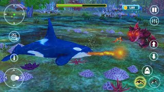 Killer Whale Orca Simulator - Gameplay Android/iOS screenshot 2