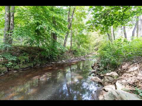 1118 Mill Park Dr EXT, Charlottesville, VA home video tour
