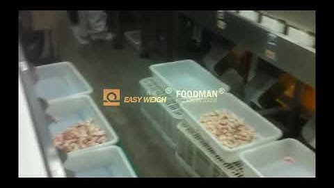 Grading of Red Shrimp in Argentina