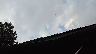 Tes sp walet edit 5 menit