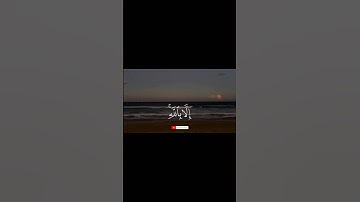 عودة إلى القرآن الكريم #تدبر_القرآن #ذكر #قرآن #توبة #قران_كريم #ثانوية_عامة