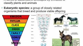 2117 Chapter 10 - Classification of Microorganisms