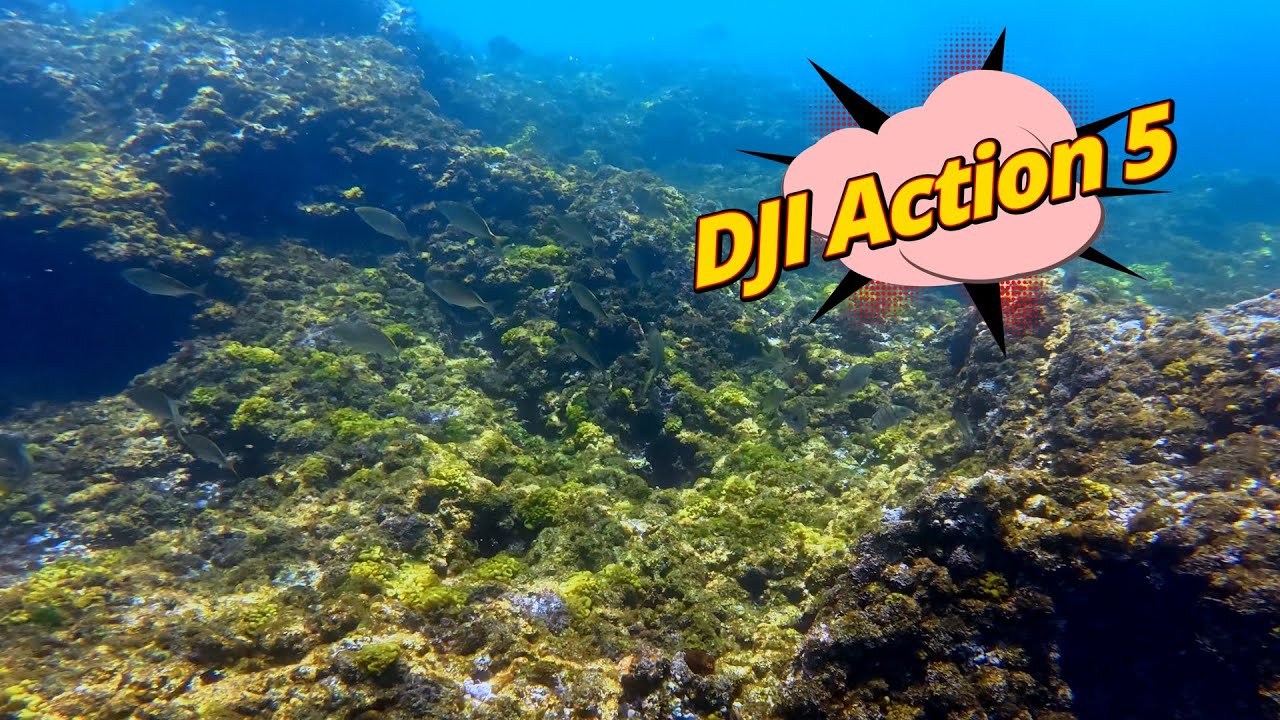 Scuba DJI Action 5 - Portugal