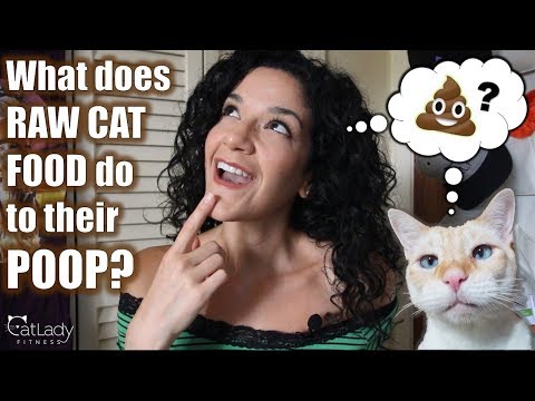 वीडियो: किट्टी लिटर विकल्प के लिए कैट ओनर गाइड