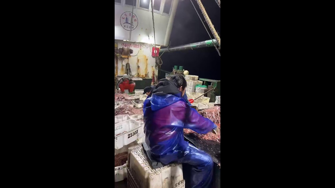 LIVE📹 | Net Fishing in the Pacific Ocean. 