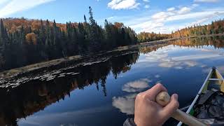 Algonquin Park Canoe Trip - Rosebary to Tim Lake - Day 3