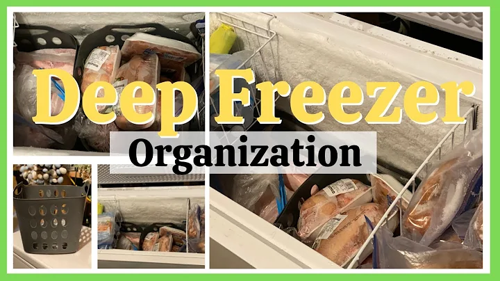 Deep Freezer Clean Out and Organization | Dollar Store Freezer Organization