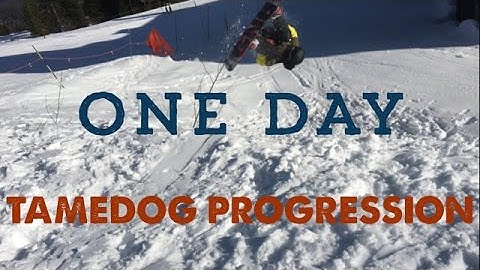 Tamedog (Nollie Frontflip) Progression | 4K