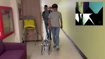 System Configuration and Navigation of a Guide Dog Robot: Toward Animal Guide Dog-Level Guiding Work