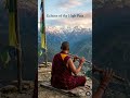 #relaxingmusic #soothingrelaxationrelaxing #ukpmusic #shorts