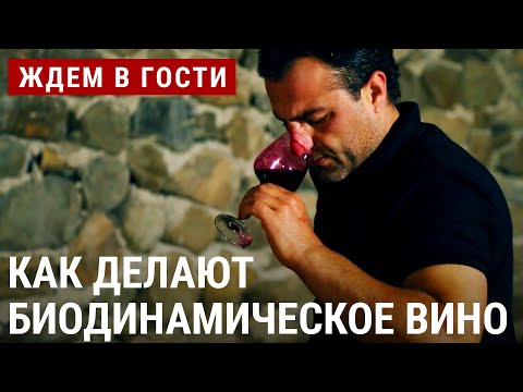 В гармонии с природой. Как делают биодинамическое вино? | ЖДЁМ В ГОСТИ