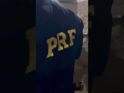 PRF apreende 6.300 quilos de maconha em carga de soja #canalrural