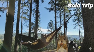 Hammock Setup, Campfire Cooking & Forest Chill | Nature Vibes