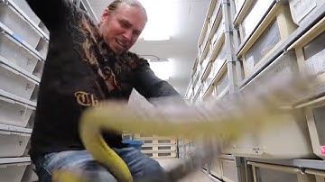Snake Bite! Close Call!!! | BRIAN BARCZYK