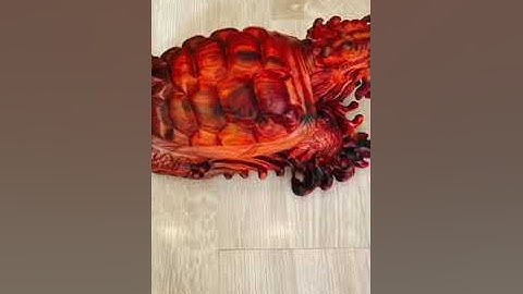 Long Quy, rùa đầu rồng