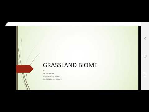 GRASSLAND BIOME