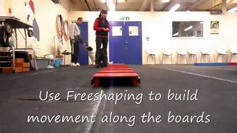 Puppy Foundation Agility - Introducing the Contacts - Clicker Training