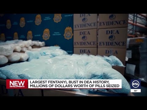 Utah involved in largest fentanyl bust in DEA history - YouTube