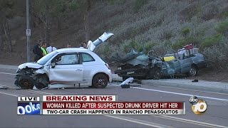 Woman killed after suspected drunk driver hit her
