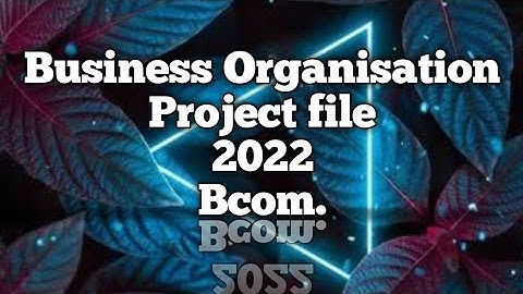 Business Organisation || Project File|| BCom. 1st Semester || Form of Business Organisation