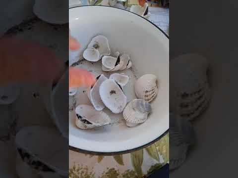Video: Tuzlu Bir Sosta Deniz Kabukları Nasıl Pişirilir