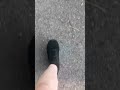 Walking + Music (7/11/25)