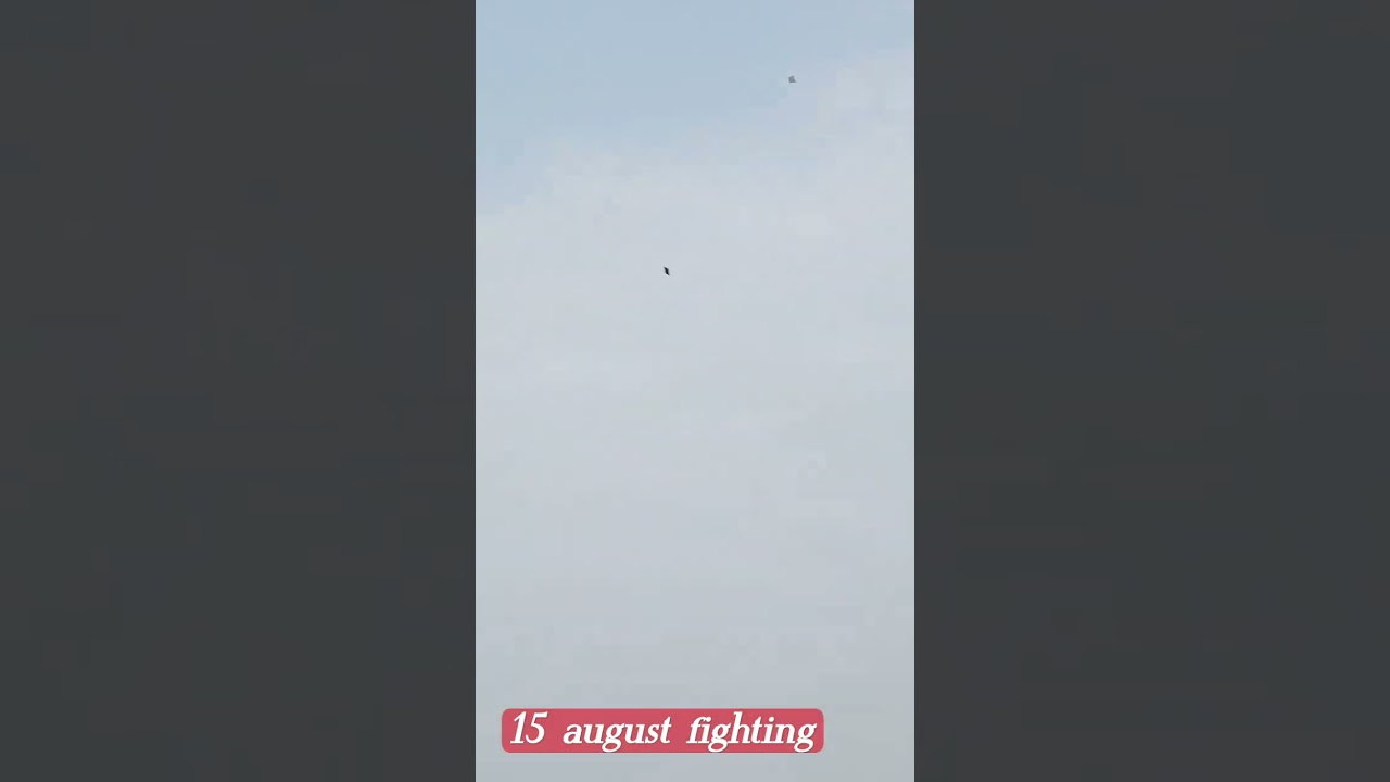 15 August fighting kite lovers ♥️♥️