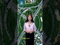 DTCP Approved Villa Plots | High Appreciation Area| Top Hotspot Locations You Must Invest in 2025!