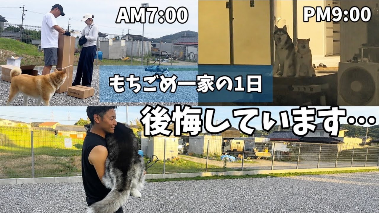 後悔しています】愛犬の為に12時間炎天下の中で過ごした結果… - YouTube