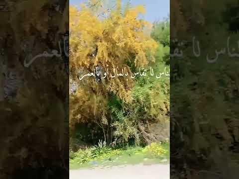 اللهم اجعلنا خفيفين النفس لا نؤذي أحد ا و طيبين اللسان لانجرح أحد ا واجعلنا ذكرى طيبة للجميع 