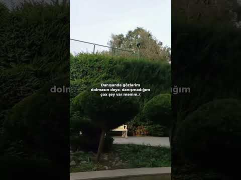 💔🥀 whatsapp üçün maraqlı statuslar status videoları sound app QƏMLİ VİDYO✨