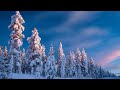 Capture de la vidéo Lapland: A Magical Fairyland