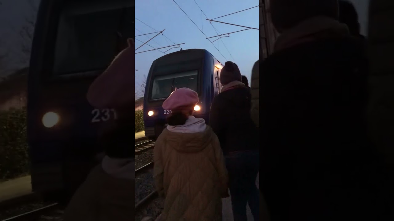 Arrivée en gare de Cuers - Pierrefeu de la Z 231501 en US Les Arcs - Draguignan-}Toulon à 