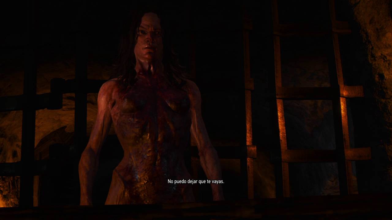 The Witcher 3: sangre y vino camera iphone 8 plus apk