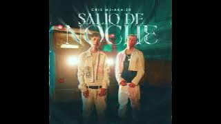 SALIO DE NOCHE - CRIS MJ x AK:420 | Audio Oficial 2023