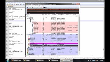 DerpRemoval - Extras: Hotkeys (Autohotkey & Irfanview Screenshots)