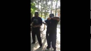 Hit The Mosquitos Offical Music Video