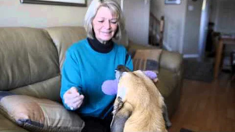 Catherine Boivin-Belanger comments on the dog and ...