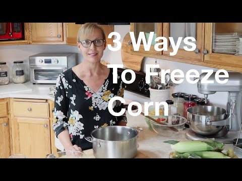 मकई को तीन तरीकों से फ्रीज कैसे करें: ब्लांच किया हुआ, बिना पका हुआ और पूरा | AnOregonCottage.com