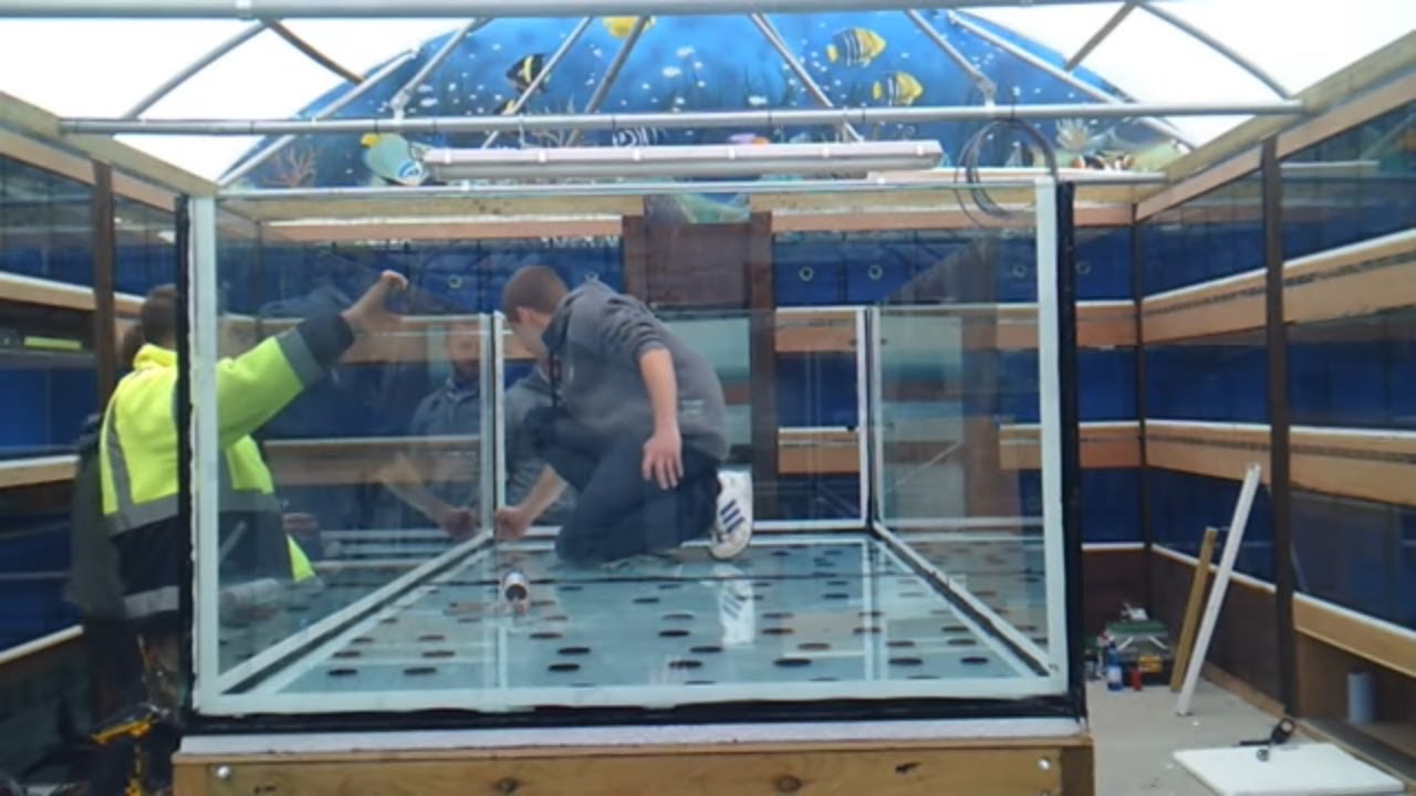building a monster aquarium 700gal unedited youtube