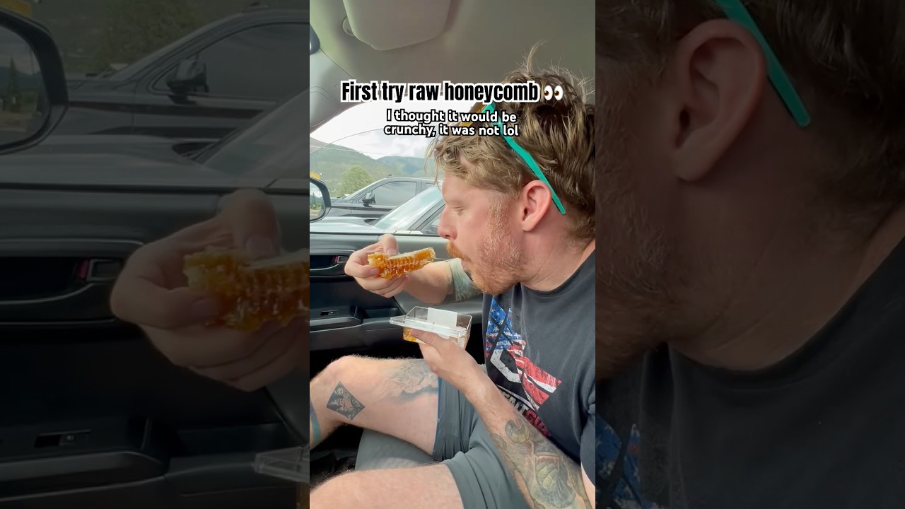 Raw Honeycomb 🤔 I thought there’d be a crunch for some reason lol 